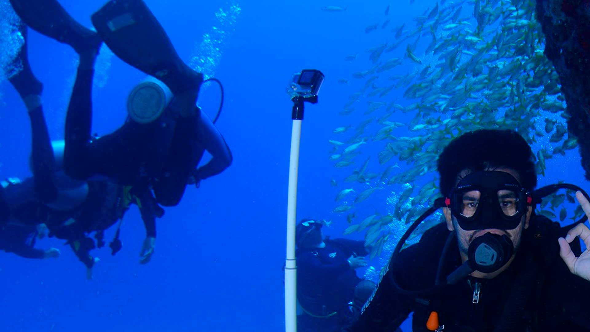 Buceo