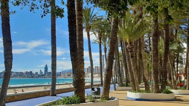 Parque-de-Elche